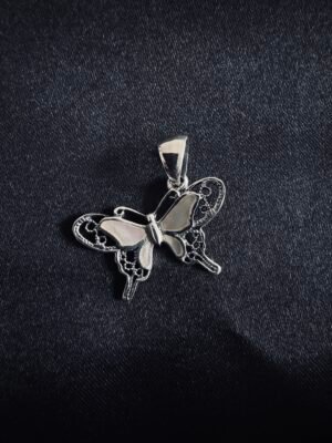 IMG_2191 Mariposa con Nácar