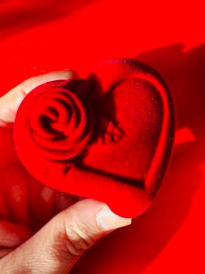 Corazón de Terciopelo