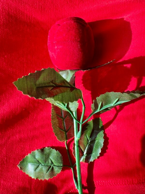 Rosa de Terciopelo para Anillo o Aros