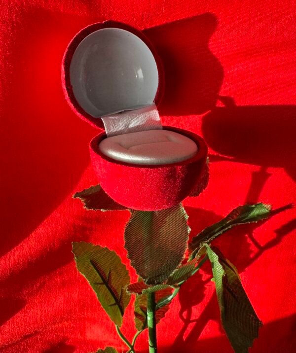 Rosa de Terciopelo para Anillo o Aros