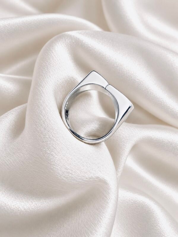 6B5E6950-0BE3-4613-9D34-709C9A199CC4 Anillo Adaptable Gotas Chunky