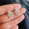 Aros Estrellas con Circones