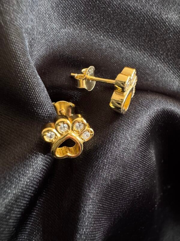 Aros Patitas 🐾 Doradas con Circones