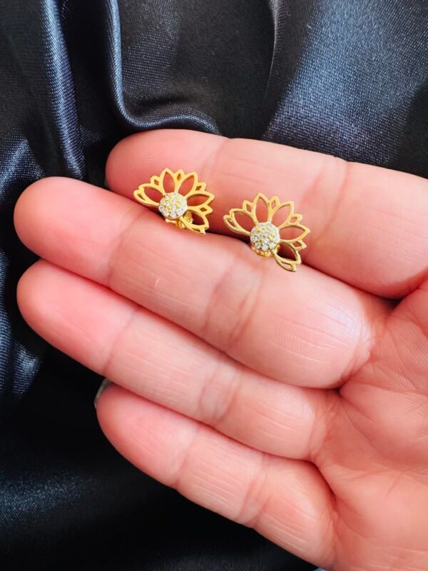 IMG_3590 Aros Flor de Loto 🪷