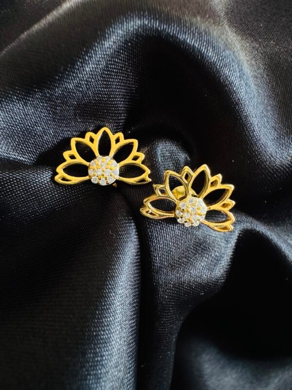 IMG_3591 Aros Flor de Loto 🪷