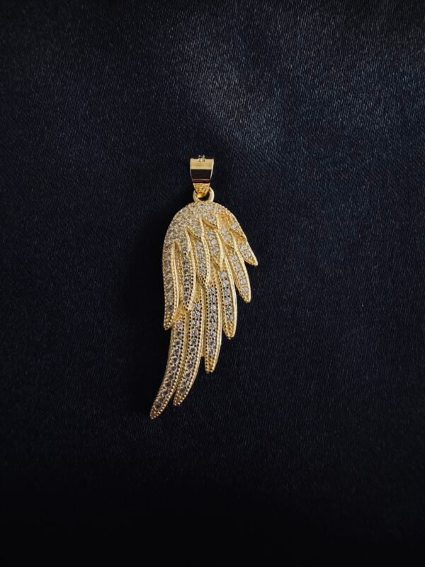IMG_3679 Colgante Ala con circones 🪽