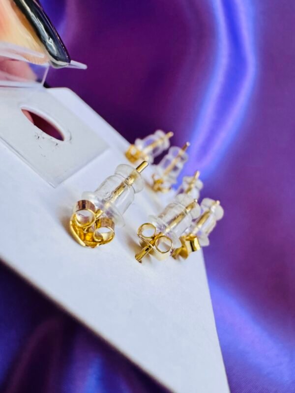 Set de Aritos Mariposa y Flor