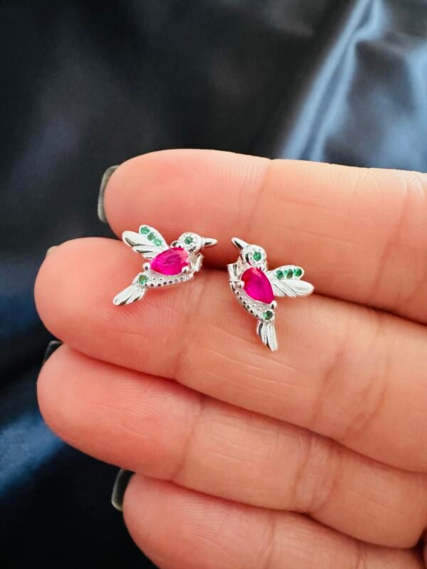 Aros Colibrí con Circones de Color