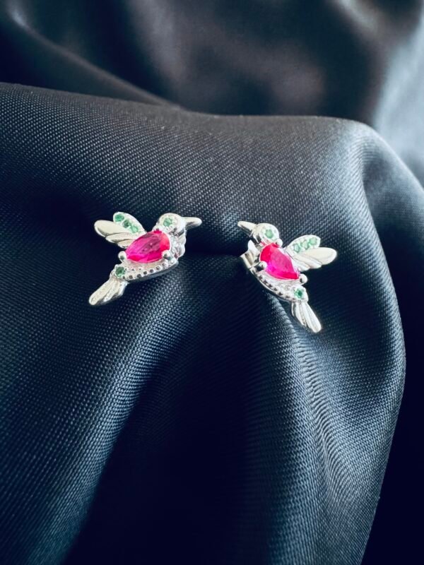 Aros Colibrí con Circones de Color