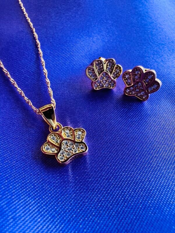 IMG_6732 Conjunto Patitas con Microcircones