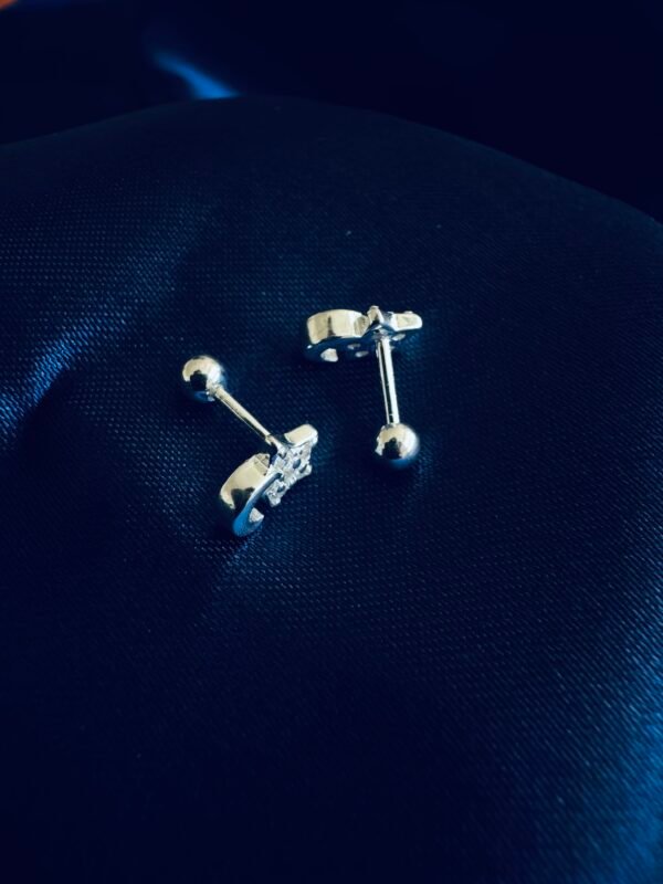 IMG_7743 Aros con Tope Luna & Estrella 🌙⭐️ con Circones