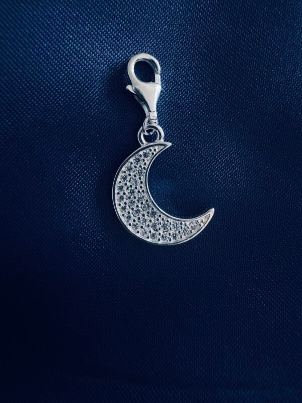 IMG_3138 Colgante Luna con Broche