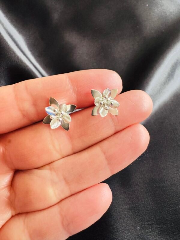 IMG_4236 Aros Flor en 3D